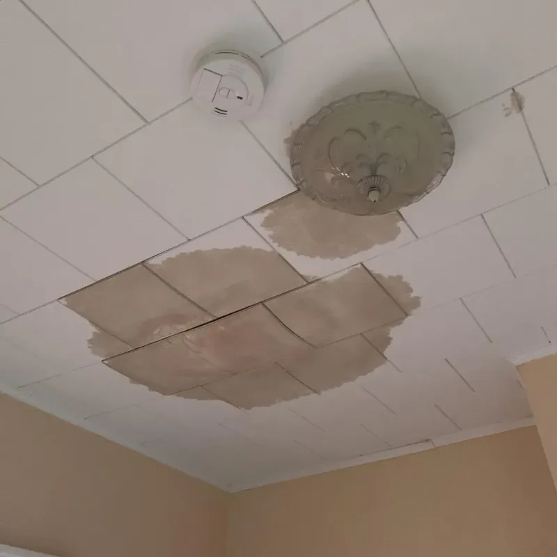 Ceiling Water Damage Repair in Nuckolls County, NE