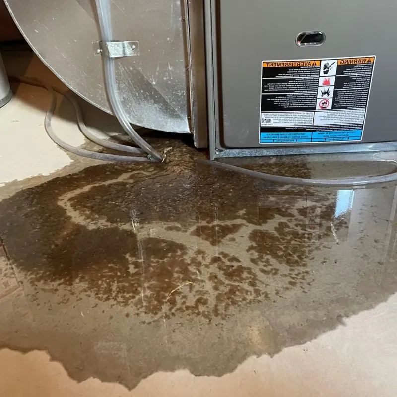 Pipe Burst and Leak Restoration in Nuckolls County, NE