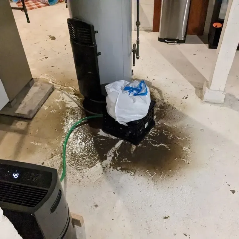 Sewage Backup Cleanup Service in Nuckolls County, NE